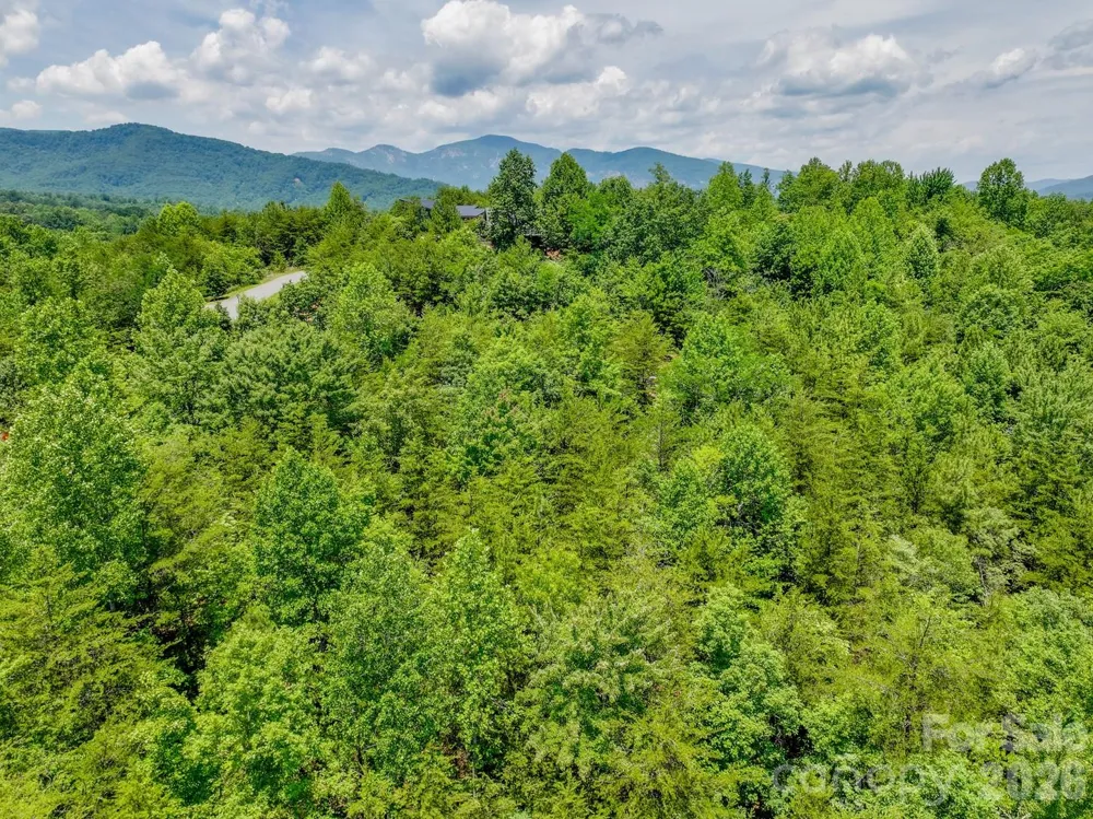 121 Jobes Trail #35 Mill Spring, NC 28756