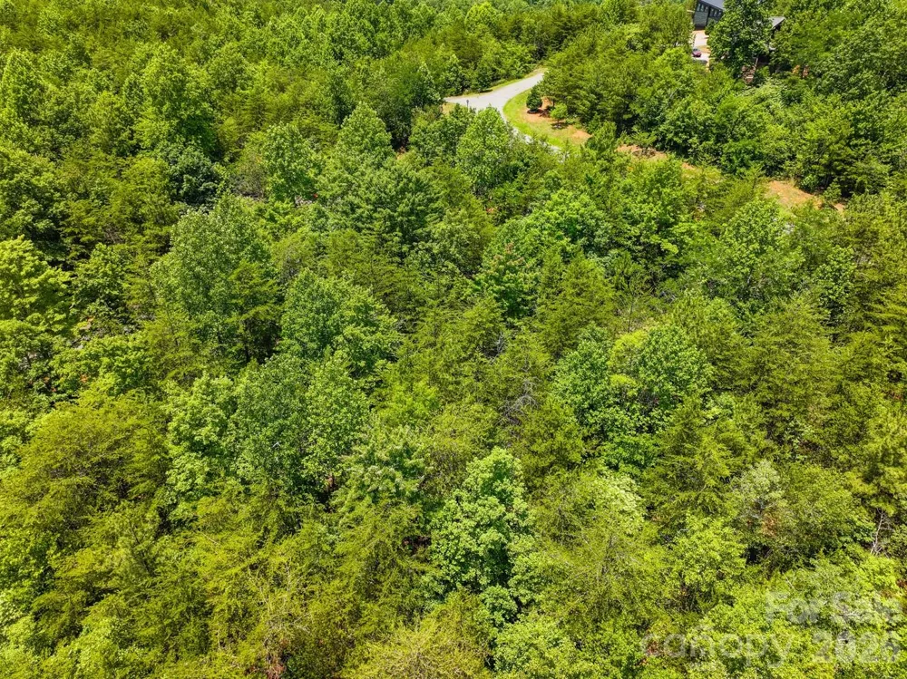 121 Jobes Trail #35 Mill Spring, NC 28756