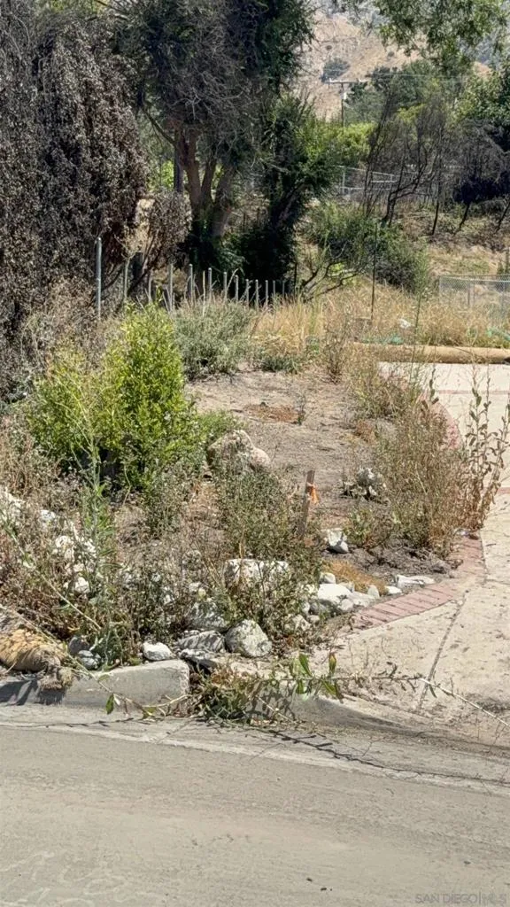 428 Parkman Altadena, CA 91001