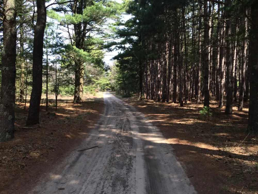 286 Red Apple Road Manistee, MI 49660