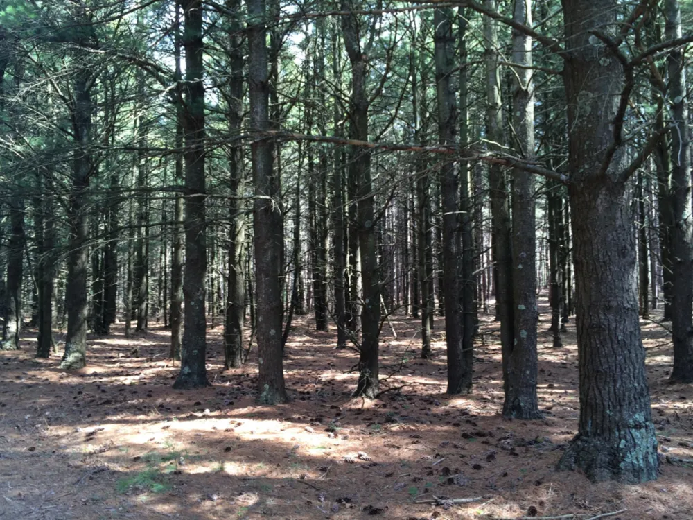 286 Red Apple Road Manistee, MI 49660