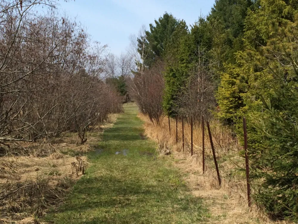 286 Red Apple Road Manistee, MI 49660