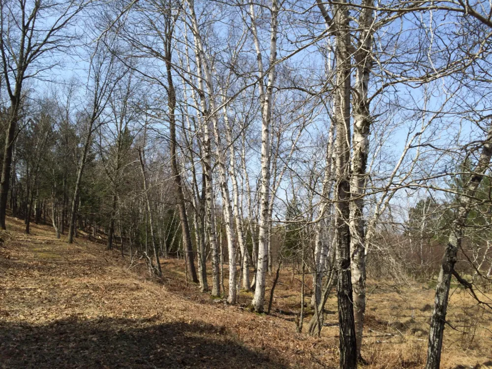286 Red Apple Road Manistee, MI 49660