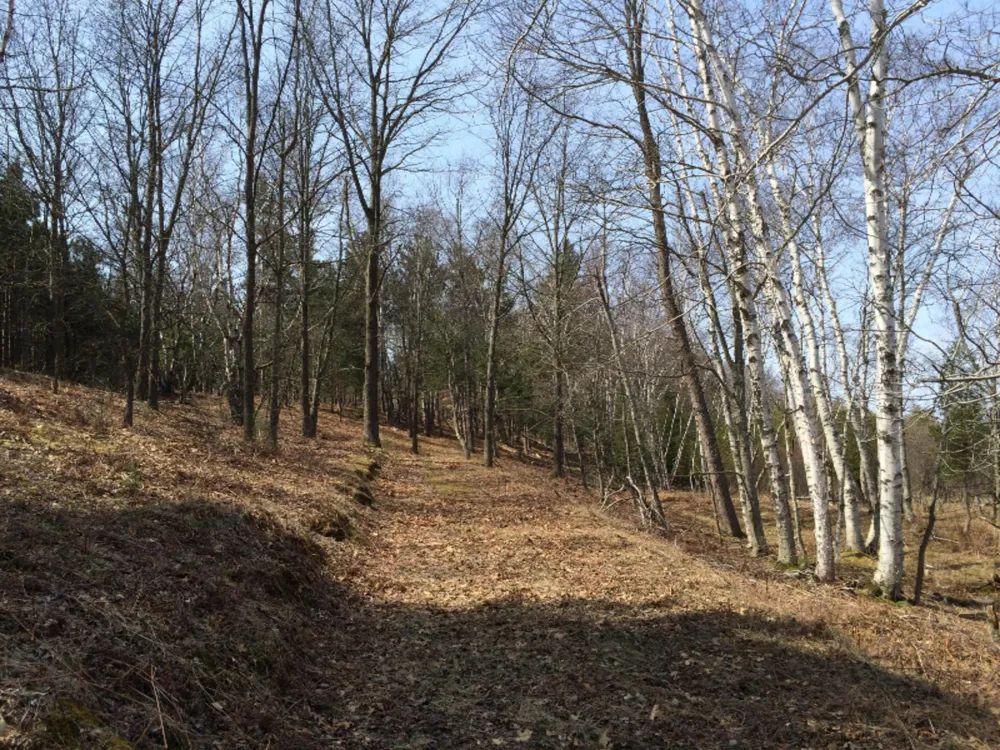 286 Red Apple Road Manistee, MI 49660