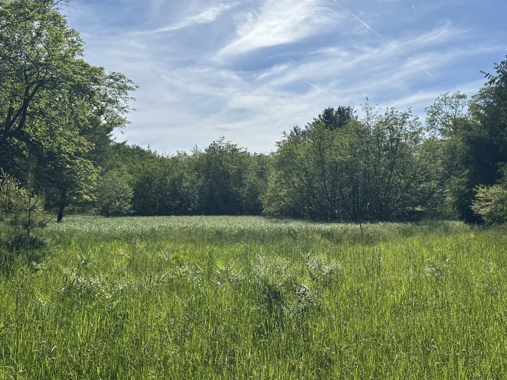 286 Red Apple Road Manistee, MI 49660