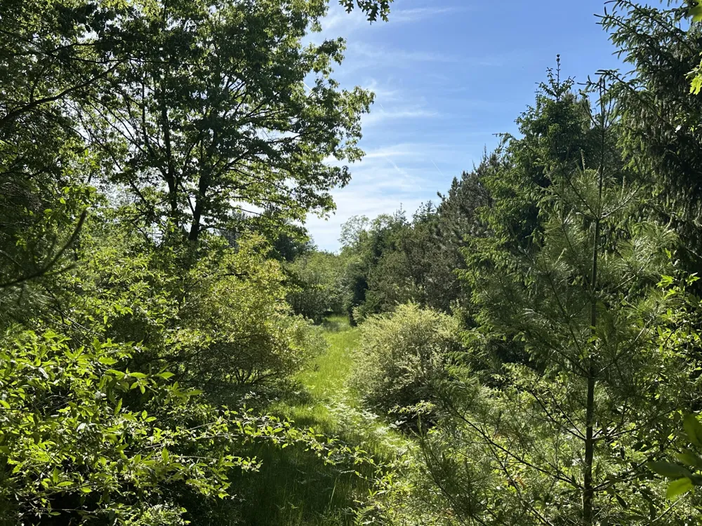 286 Red Apple Road Manistee, MI 49660
