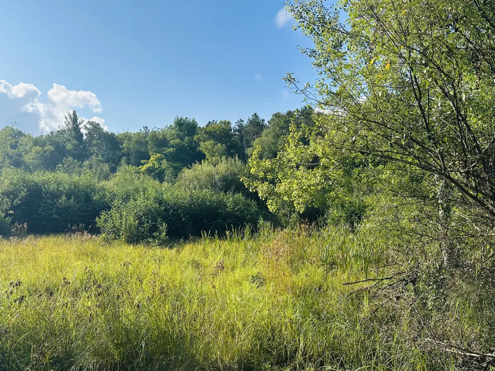 286 Red Apple Road Manistee, MI 49660