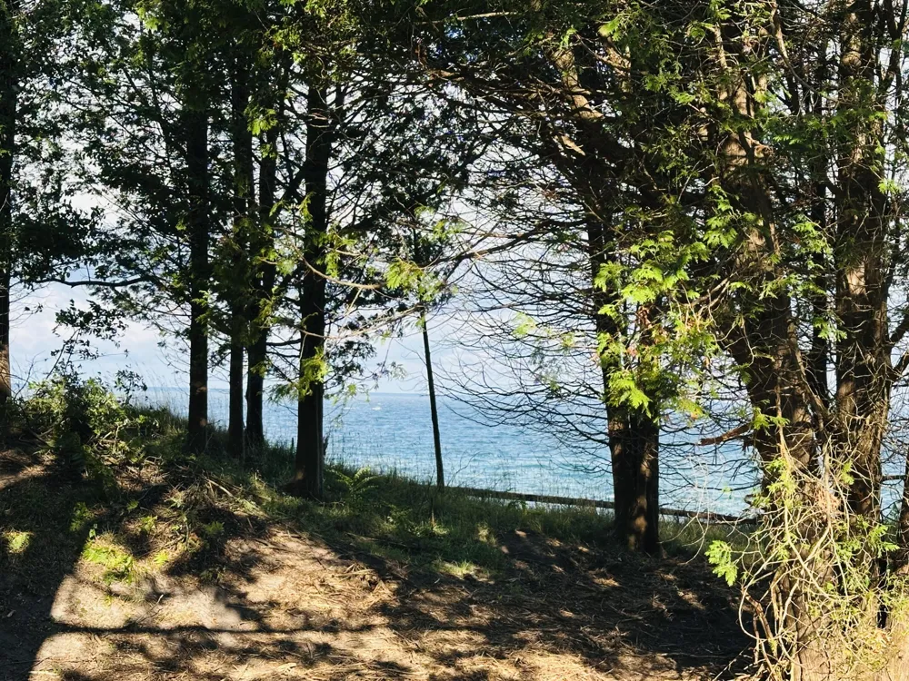 286 Red Apple Road Manistee, MI 49660