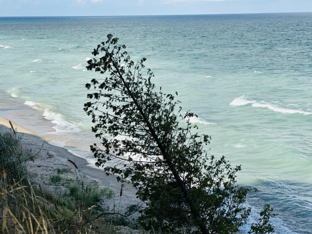 286 Red Apple Road Manistee, MI 49660