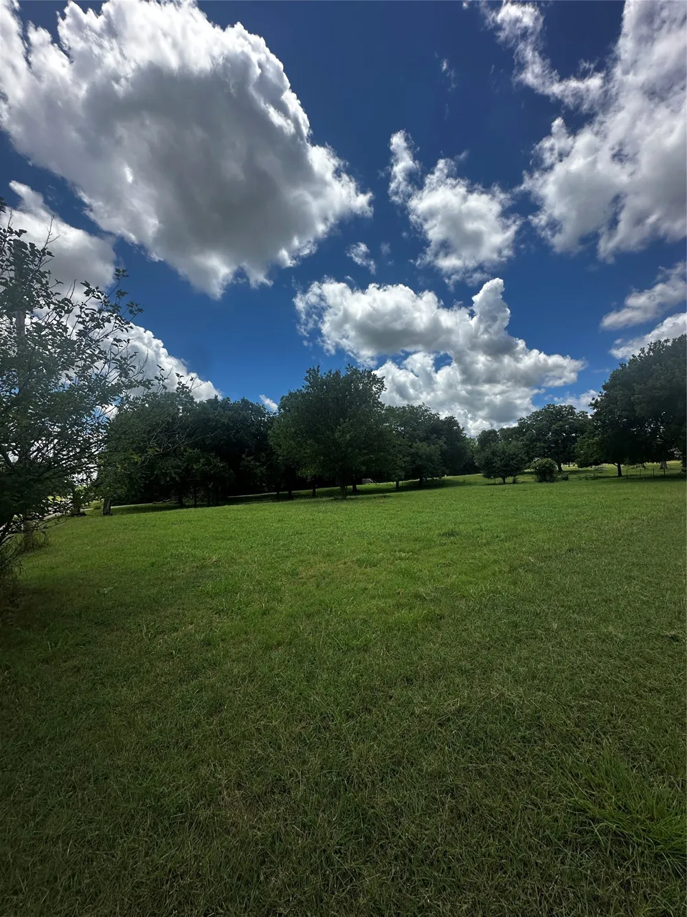 701 W Howell Street St Jo, TX 76265