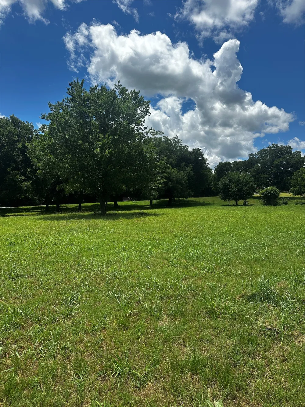 701 W Howell Street St Jo, TX 76265