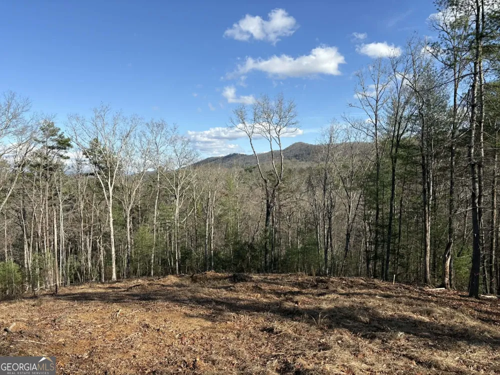 LOT 86 Lookout Ridge Mineral Bluff, GA 30559