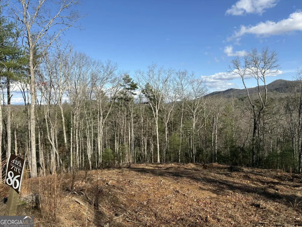 LOT 86 Lookout Ridge Mineral Bluff, GA 30559