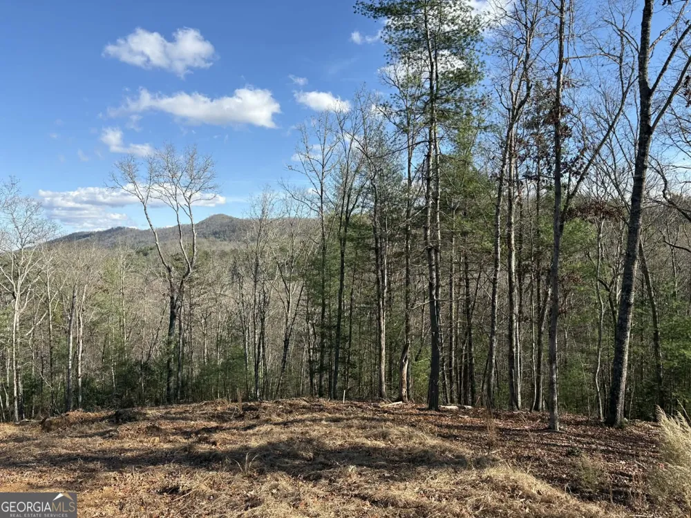 LOT 86 Lookout Ridge Mineral Bluff, GA 30559
