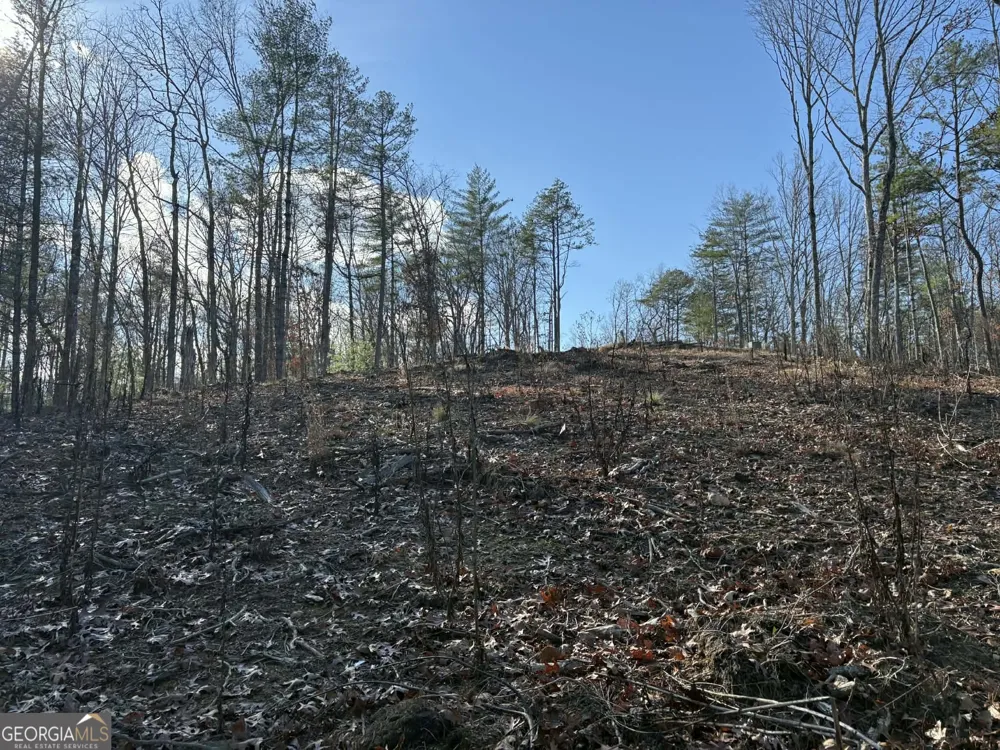 LOT 86 Lookout Ridge Mineral Bluff, GA 30559