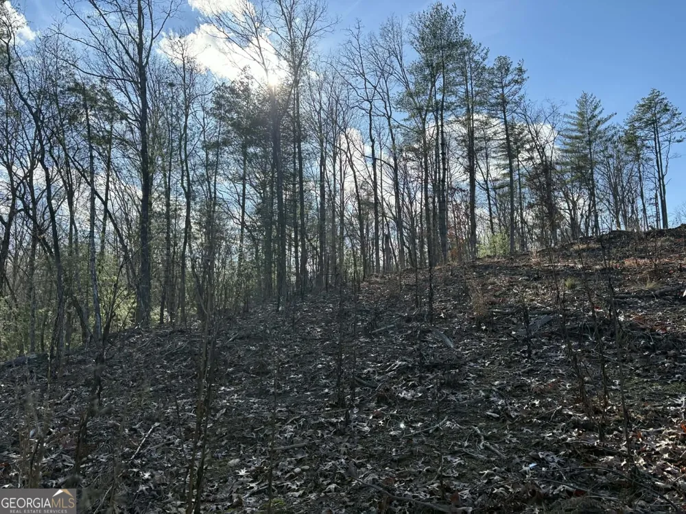 LOT 86 Lookout Ridge Mineral Bluff, GA 30559