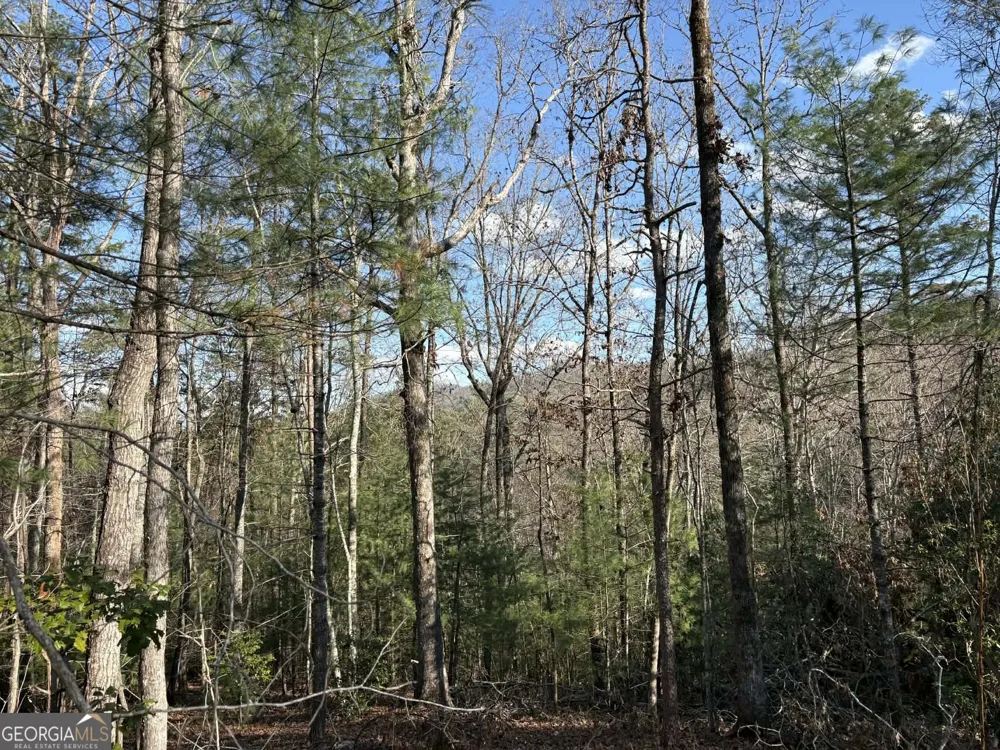 LOT 86 Lookout Ridge Mineral Bluff, GA 30559