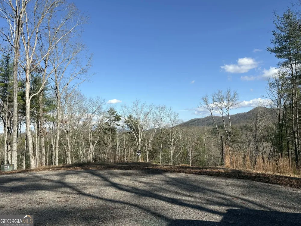 LOT 86 Lookout Ridge Mineral Bluff, GA 30559