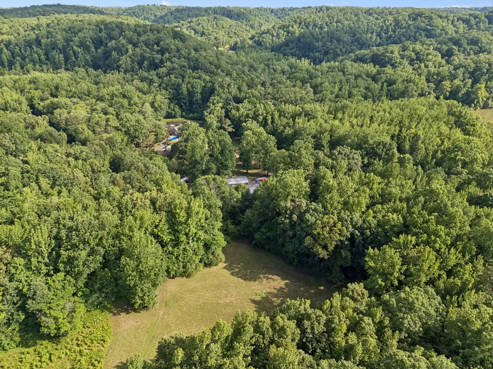 1343 Chalk Hollow Ln Waverly, TN 37185