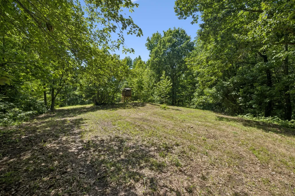 1343 Chalk Hollow Ln Waverly, TN 37185