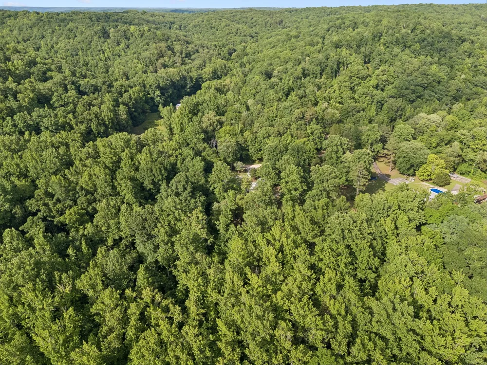 1343 Chalk Hollow Ln Waverly, TN 37185