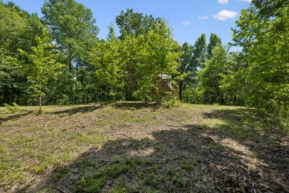 1343 Chalk Hollow Ln Waverly, TN 37185