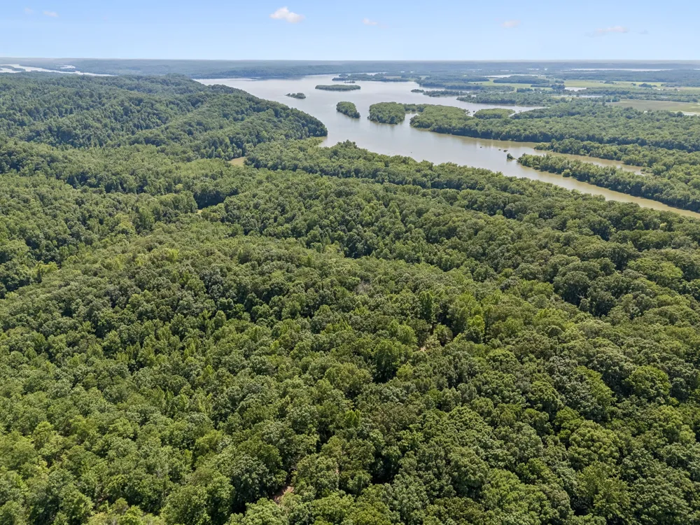 1343 Chalk Hollow Ln Waverly, TN 37185