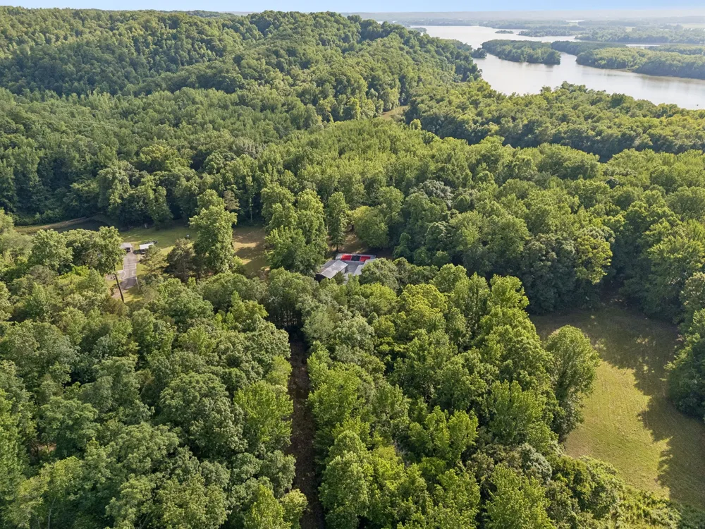 1343 Chalk Hollow Ln Waverly, TN 37185