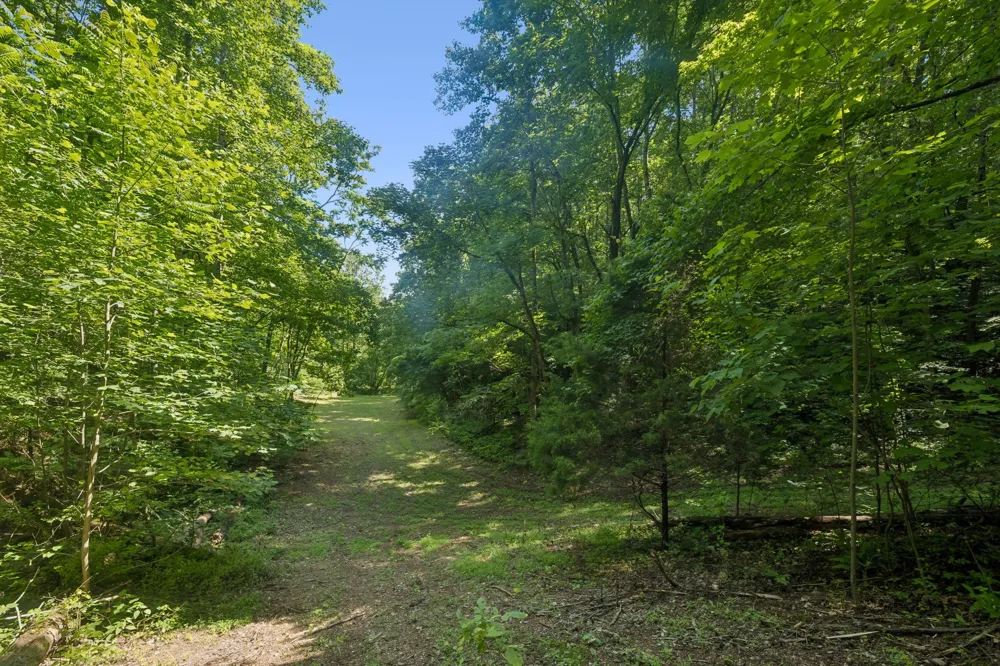 1343 Chalk Hollow Ln Waverly, TN 37185