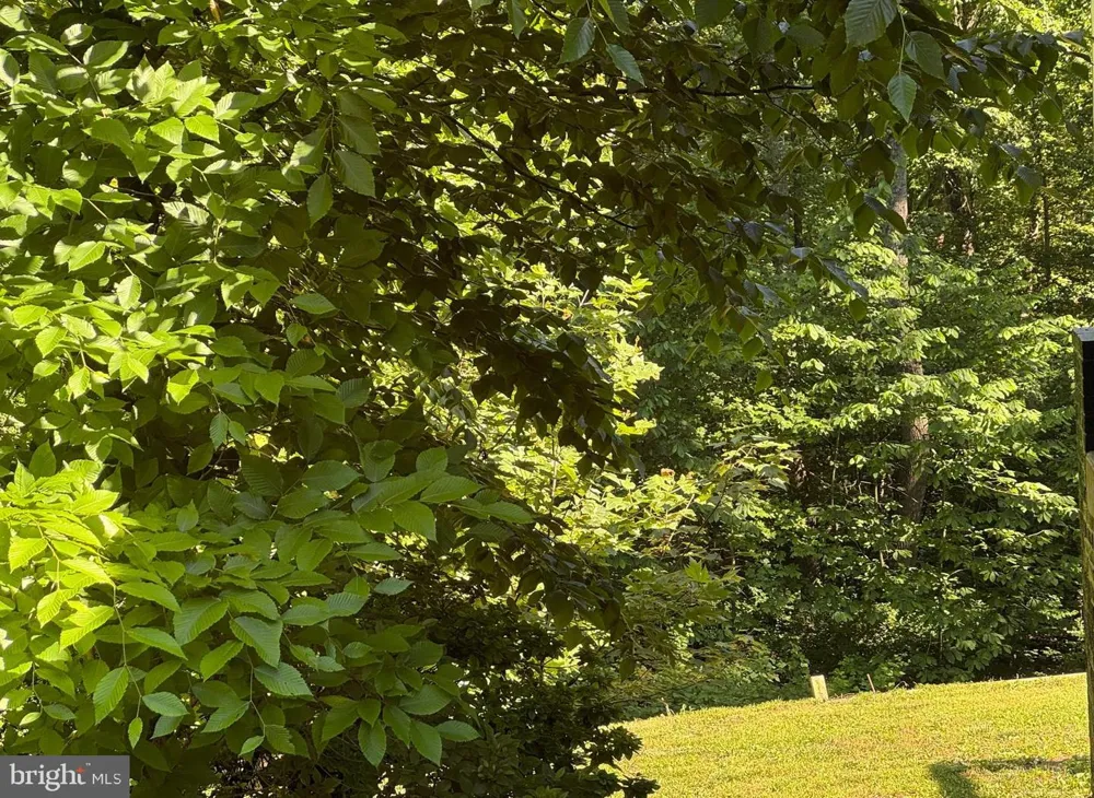 12081 LAPLATA ROAD Waldorf, MD 20602