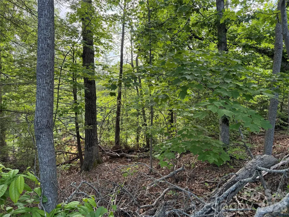 53 Will Road #2 Hendersonville, NC 28792
