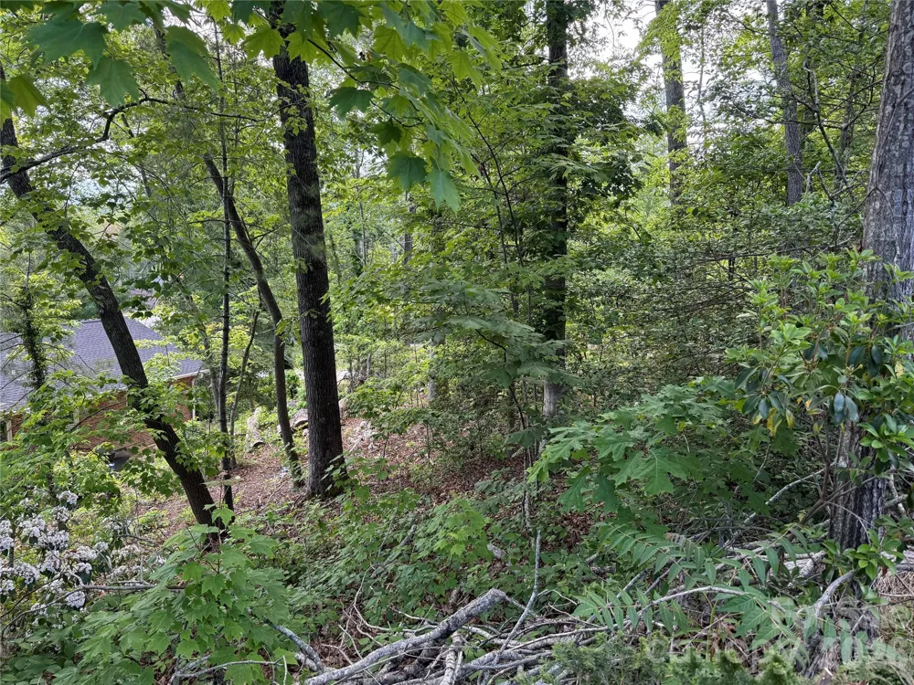 53 Will Road #2 Hendersonville, NC 28792