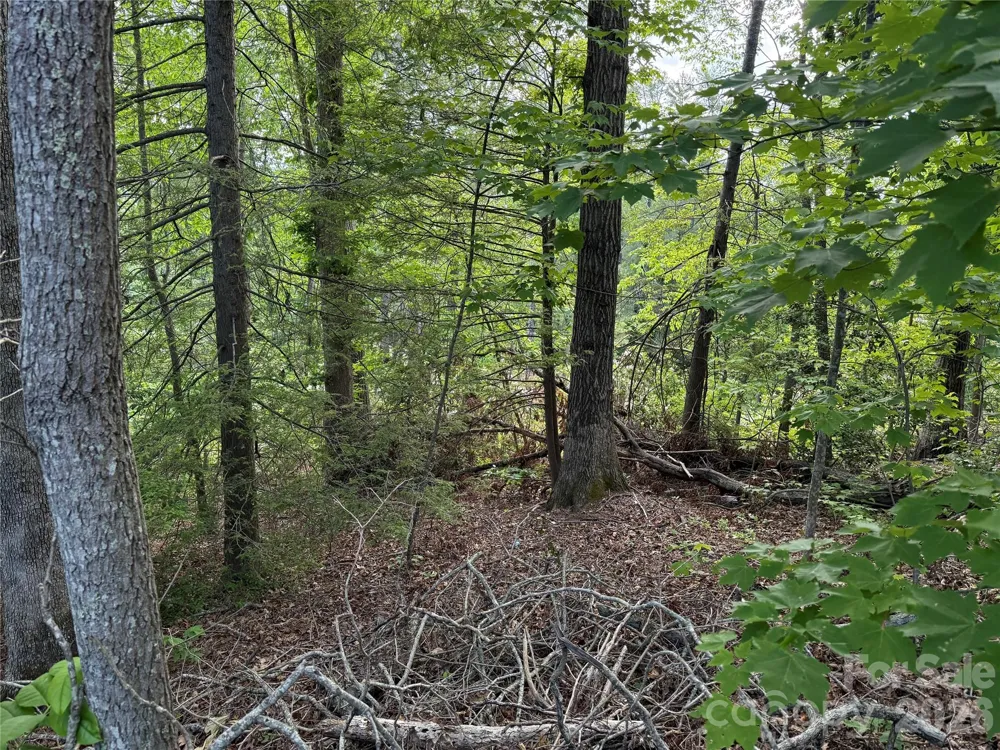53 Will Road #2 Hendersonville, NC 28792