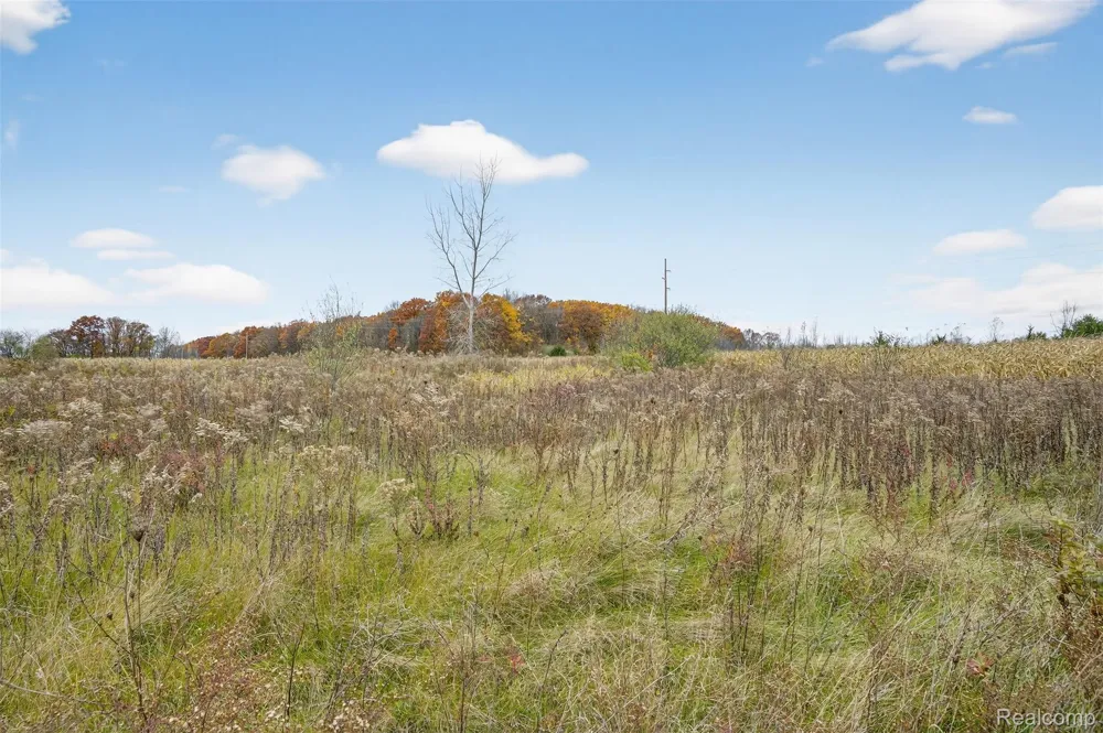 6434 Bristol Road Swartz Creek City, MI 48473