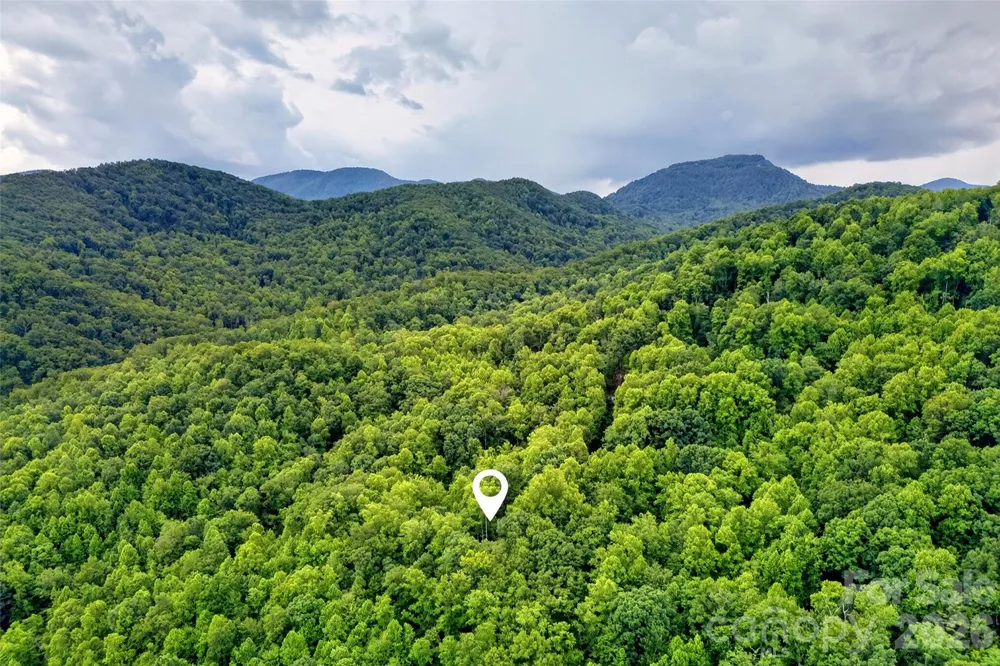 1828 McKenzie Way S Old Fort, NC 28762