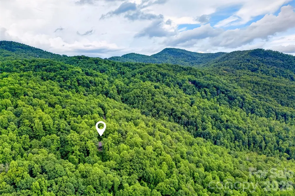 1828 McKenzie Way S Old Fort, NC 28762