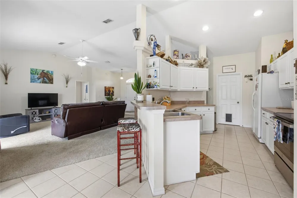 19630 SE 15TH PLACE Morriston, FL 32668