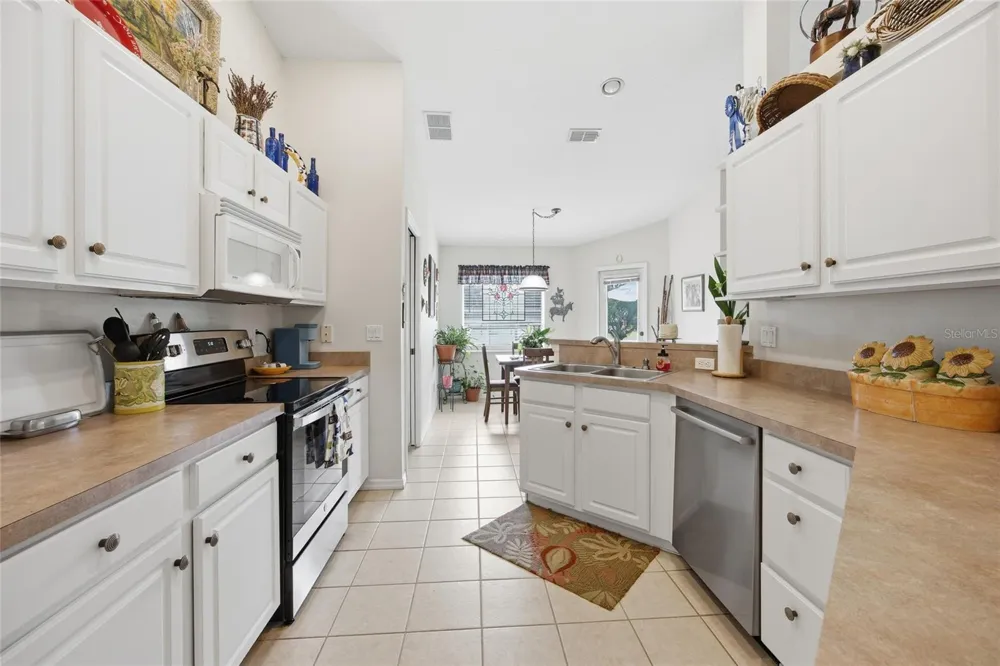 19630 SE 15TH PLACE Morriston, FL 32668