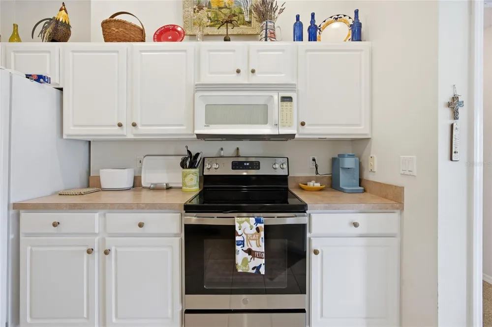 19630 SE 15TH PLACE Morriston, FL 32668