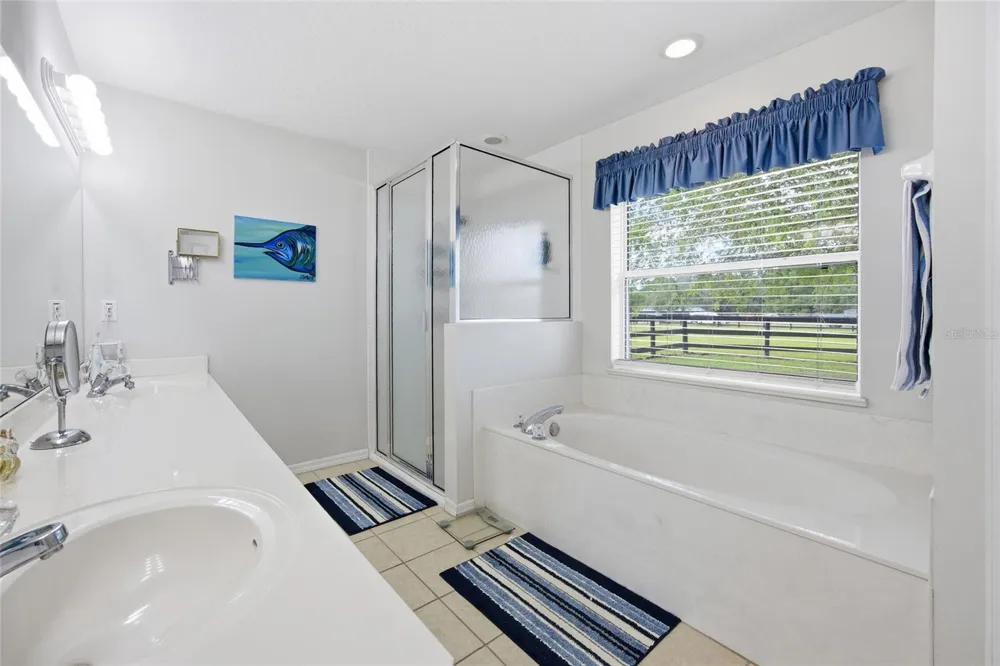 19630 SE 15TH PLACE Morriston, FL 32668