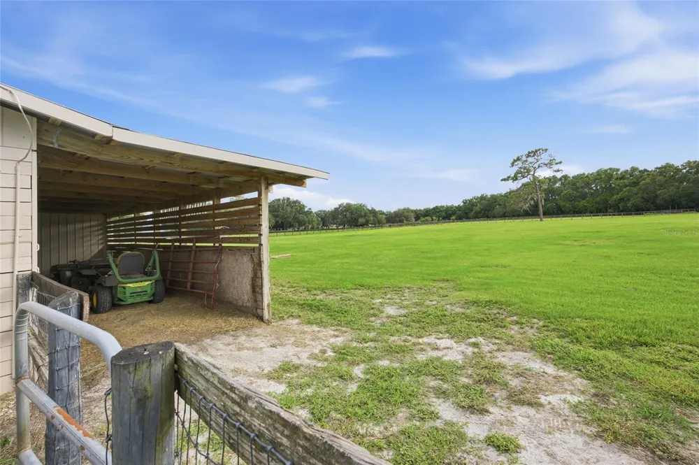 19630 SE 15TH PLACE Morriston, FL 32668
