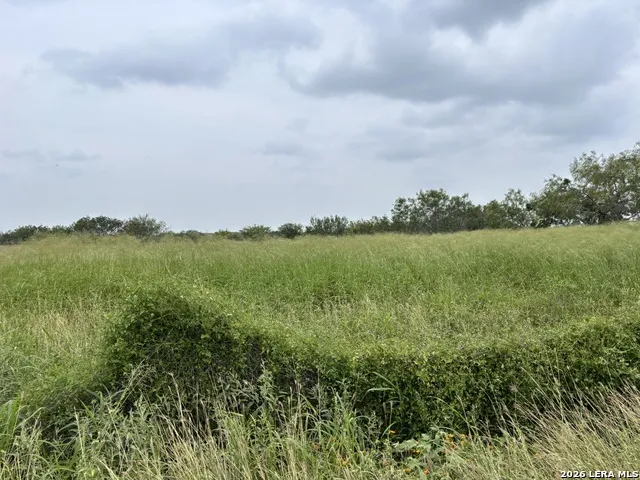 0 Farm to Market Rd 3249 Realitos, TX 78376