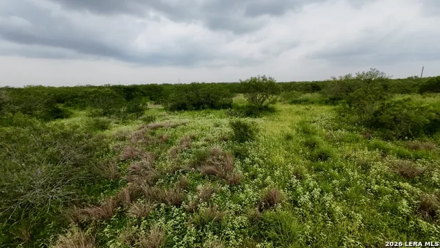 0 Farm to Market Rd 3249 Realitos, TX 78376