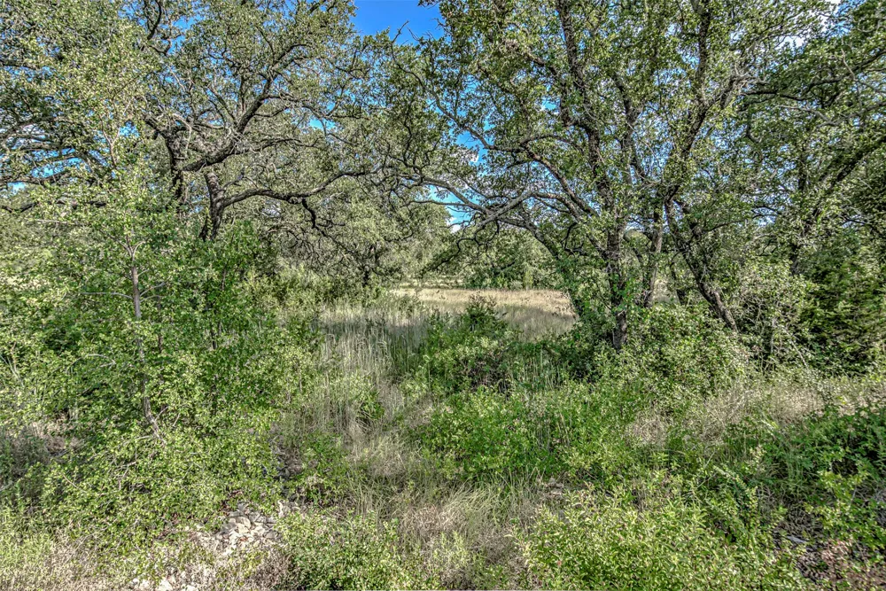 Sierra Bluff Buchanan Dam, TX 78609