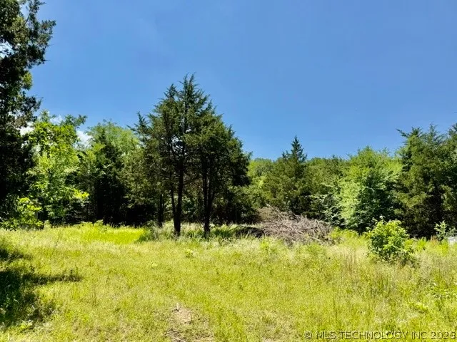E 1025 Vian, OK 74962