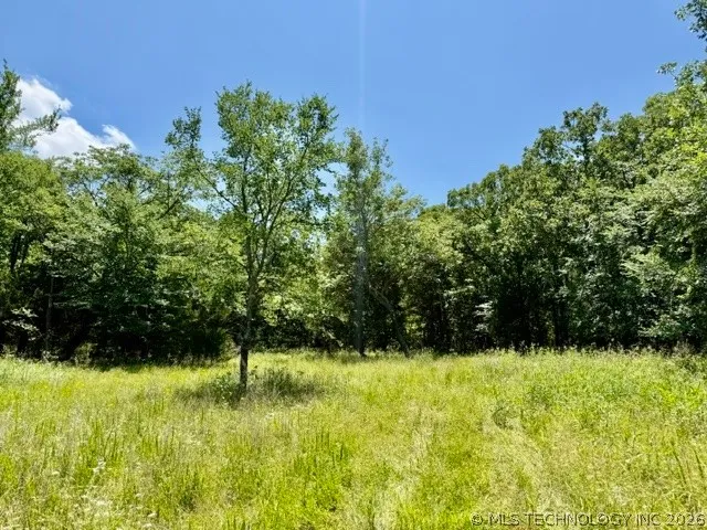 E 1025 Vian, OK 74962