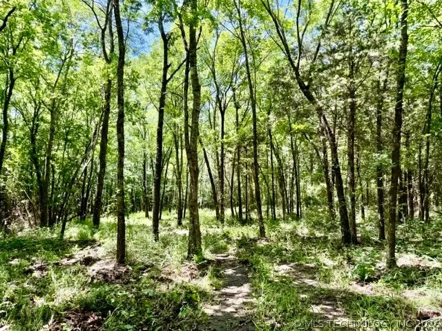 E 1025 Vian, OK 74962
