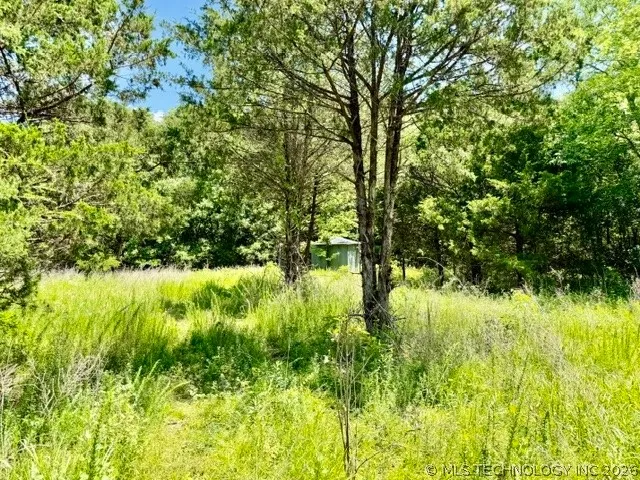E 1025 Vian, OK 74962