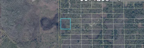 407 DILL ROAD