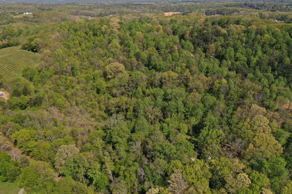 0 Elm Lane Sweetwater, TN 37874